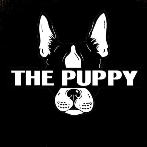 Letter black Bulldog Patches DIY Heat Transfer Iron-on Patches For T-shirt A-level Washable Stickers Glue On Clothes Puppy Dog