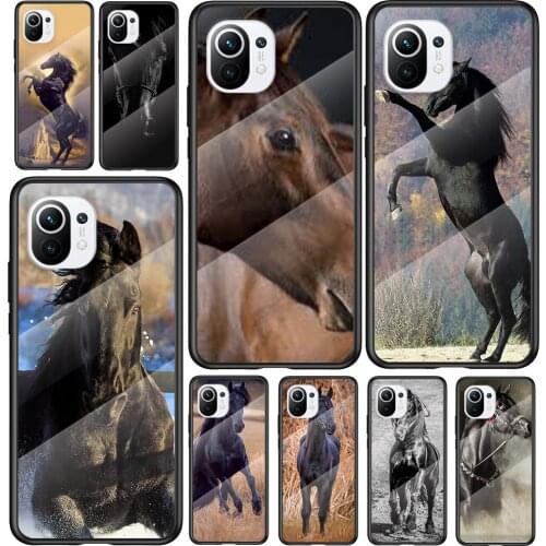 Tempered Glass Cover Anime Horse Animal For Xiaomi Mi 11 11i 10T CC9E CC9 9T Note 10 Ultra Pro Lite 5G Phone Case