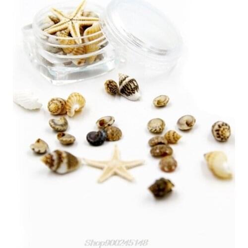Small Natural Beach Seashell Starfish Nautical Decor Jewelry Glass DIY Fillers Nail Art Resin Fillings Jewelry Making Dropship