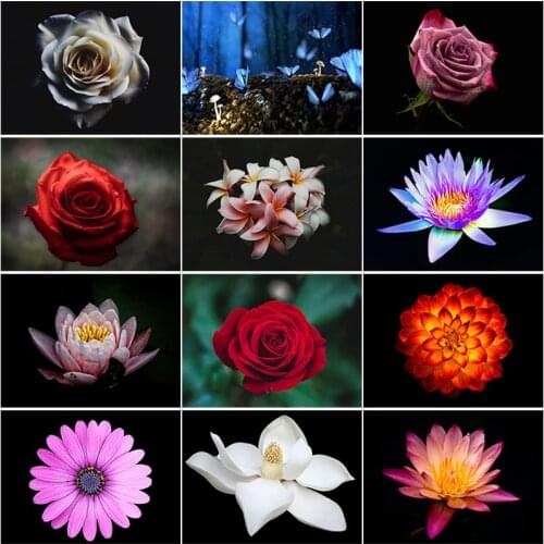 DIY Decoration Handmade Diamond Embroidery Full Round Drills Kit Nature Cross Stitch Set Resin Rhinestone Craft Wall Art Decor