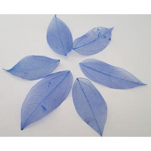 Wholesale 100pcs/Bag Deep blue colors Natural skeleton leaves for DIY and home decor Card making A3