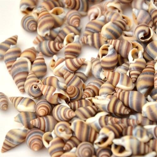 100pcs/Lot 0.9-1.5 cm Small Color Stripe Conch Home Decoration Natural Seashell Aquarium Fish Tank Landscape Home decoration