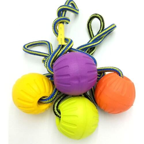 Fashion EVA Pet Chewing Toy Pull Ring Ball Bone Chicken Legs Toy for Cat and Dog Chewing Training Pet Supplies Accessories