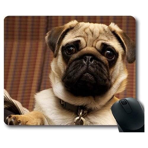 Puppy Thick Mousepad,Pug Dog Portrait Cute Canine Looking Head Collar,dogs mouse mat