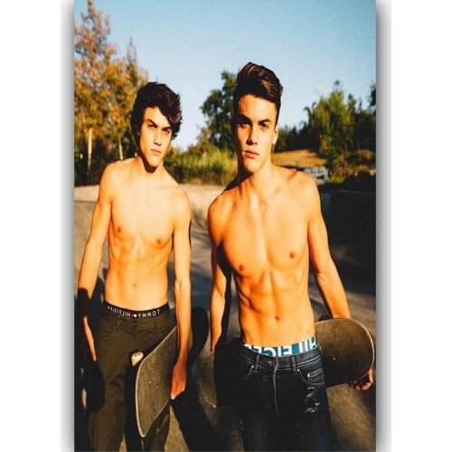 Art Print New Dolan Twins Custom Music Group Music Star 14x21 24x36 27x40 Inch Silk Poster Wall Canvas Decoration X-581