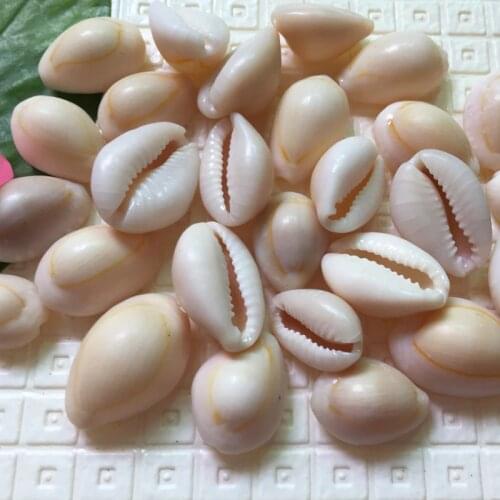 HappyKiss 50pcs Fish tank auatic yangtz derlook wedding decoration po lo huazhung natural shells conch yellow Phnom penh screw