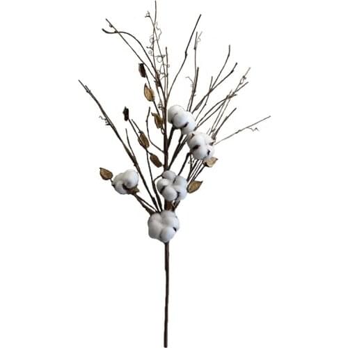 26 Inch Natural Dried Flowers Cotton Plant Stems 5 Heads Dried Bolls Home Furnishing Flower Decoration