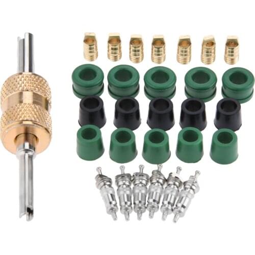 71pcs Auto Air Conditioning Valve Core Tool Hose Gasket Remover Installer Repair Tool Box Set Car Accessories