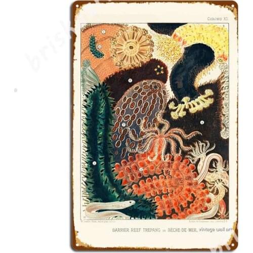 Vintage Barrier Reef Sea-Life Illustration By William Saville-Kent, 1893 Metal Signs Wall Mural Cinema Decoration