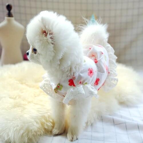 Pet Teddy Schnauzer Dog Small Dog Summer Cute Princess Sakura Dress Pomeranian Chihuahua Bichon Puppy Clothes