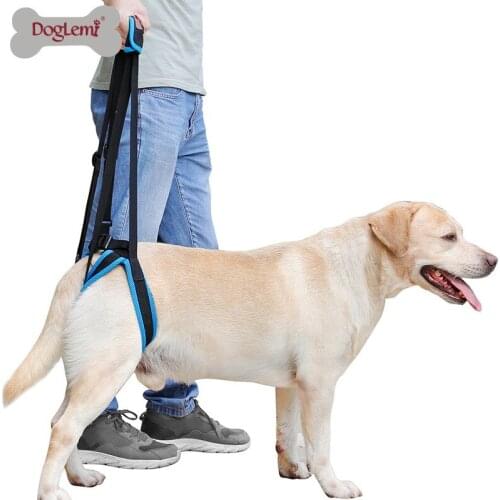Adjustable Dog Lift Harness for Back Legs Pet Support Sling Help Weak Legs Stand Up Pet Dogs Leash Aid Assist Tool