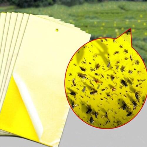 Yellow Strong Flies Sticky Traps Bugs Sticky Catching Aphid Insects Killer Whitefly Thrip Fruit Fly Gnat Leafminer Trap