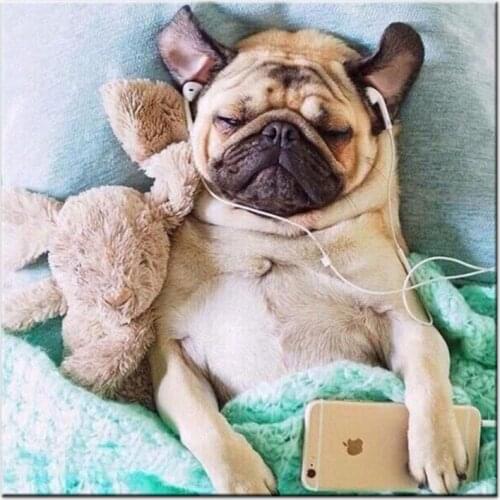 Full Square Drill 5D DIY Diamond Painting "dog listen music" 3D embroidery mosaic Cross Stitch Rhinestone Home Decor Gift