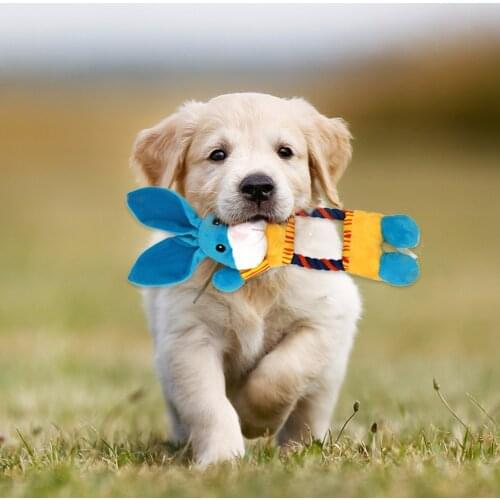 Squeak Chew Toy Plush Dog Toys Funny Hollow Out Interactive Sound Goods for Pets Animals Puppy Cat Products Dogs Dropship