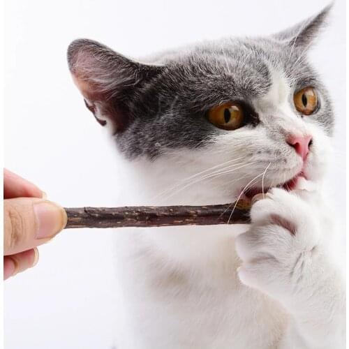 Pure Natural Catnip Pet Cat Toy Safety Molar Branch Sticks Cleaning Teeth Snacks Chinese Supplier
