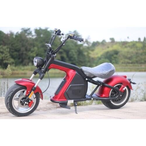 30Ah Europe USA Warehouse EEC/COC 2 Wheel Stand Up Electric Scooter Motorcycle Citycoco 2000W60V Removable Battery For Adult