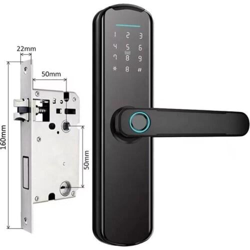 Doubwin Smart Tuya App TTlock Smart Fingerprint Wifi Lock Digital Password Key Card Smart Door Lock
