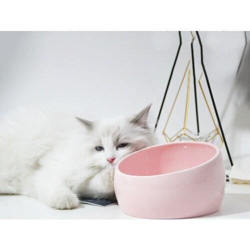Lovely cat feeder ceramic bowl dog food bowl container pet feeding delicious gatos productos para mascotas cat accessories