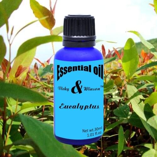 Vicky&winson Eucalyptus aromatherapy essential oils 30ml water-soluble aromatherapy lamp humidifier special deodorization