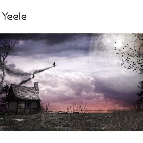 Yeele Halloween Background Prop Photocall Moon Night Witch Bats Grunge House Photography Backdrop For Photo Studio Photographic