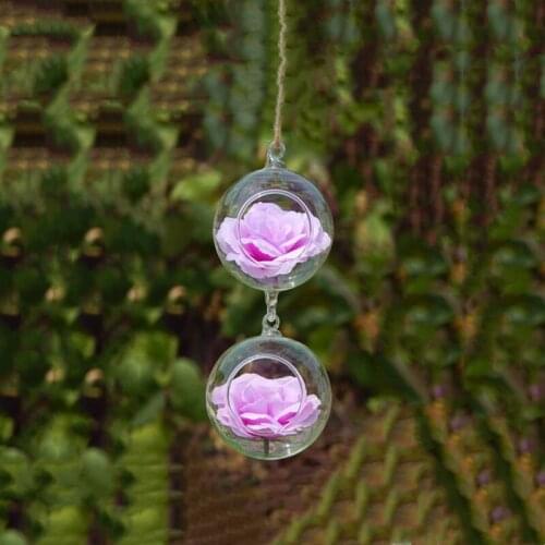 2pcs/set Diameter=6cm Mini Size Double Hock Glass Terrarium Vase Home Decoration One Open Hanging Globe Pendant Wedding Prop