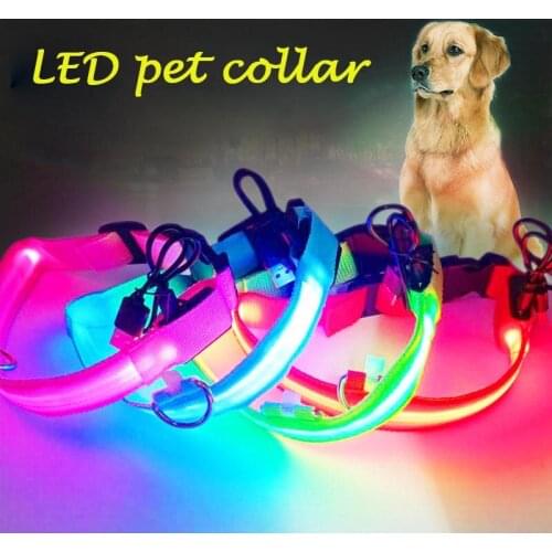 USB Charging Led Dog Collar Anti-Lost/Avoid Car Accident Collar For Dogs Puppies Dog Collars Leads LED Supplies Pet Products