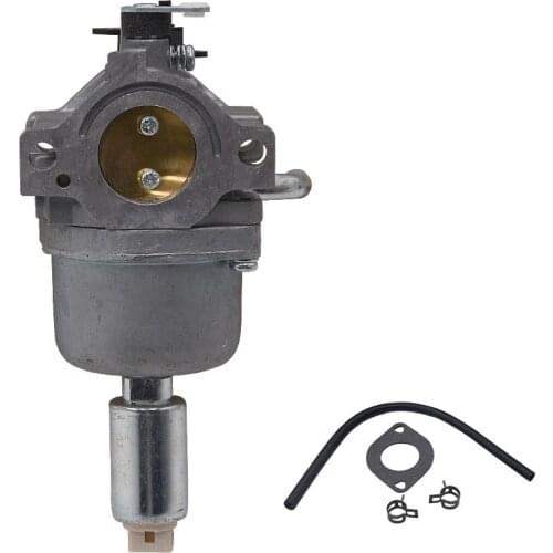 594593 For Briggs Stratton 790418 7961 09 794294 699916 5934 33 794572