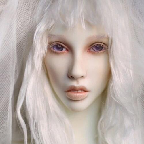 Dollshe craft DS Erica-snow 26F 1/3 body model girl bjd sd doll oueneifs High Quality resin toys free eye beads shop