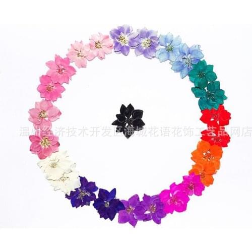 Feiyan Embossed Dried Flower Handmade Glue Phone Case Accessories Pressed Flower Frame Bookmark Material