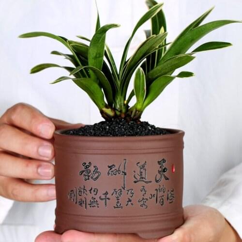 Purple Clay Succulent Flower Pot Ceramic Succulent Plants Stoneware Retro Bisque Style Home Creative Small Simple Iris Wen Bambo