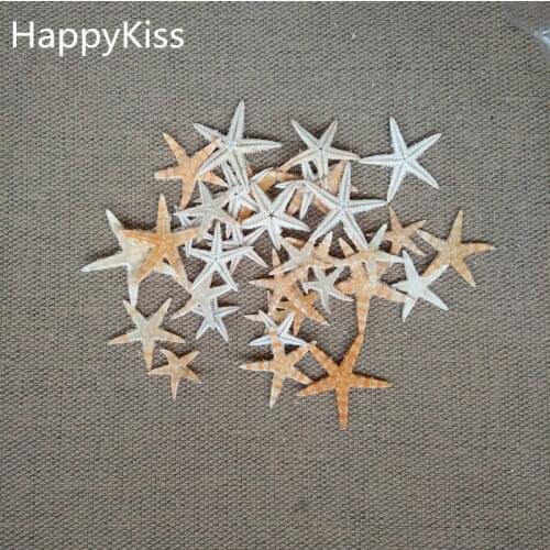 20pcs/set 1.5-2.0cm Natural Sea Star Ocean Sea Animal Fish For Micro Landscape Terrarium Decorative Ornament Crafts