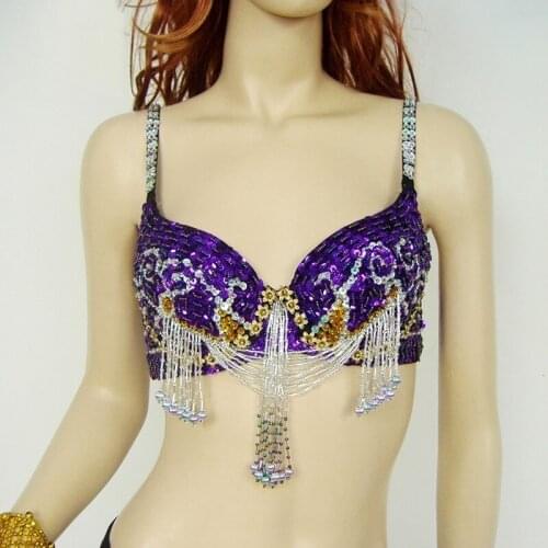 Indian Jewelry Belly Dance Bras Fashion Bellydance Costume Danse Orientale Purple India Dresses For Women Sari Sexy Clothing
