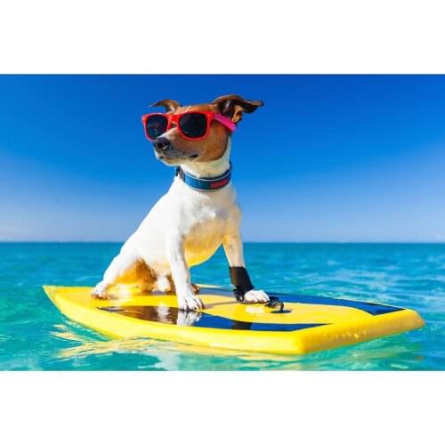 Full square/round 5D DIY diamond painting Surf dog customization Embroidery Pattern Cross stitch kits mosaic wall stickers