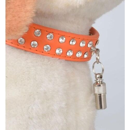 Silver Cute Pet Cat Dog ID Tag for Dogs Cats Anti Lost Name Address Label Identity Barrel Tube Collar Pet Products