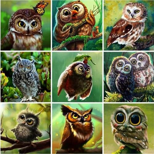 EverShine Diamond Embroidery Owl Picture Of Rhinestones 5D DIY Diamond Art Painting Animal Cross Stitch Mosaic Kits Wall Decor