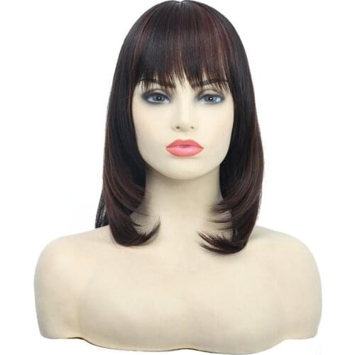 Silky Straight Synthetic Wig Heat Resistant For Women Fiber Hair Wig Gluless Cosplay Daily Use