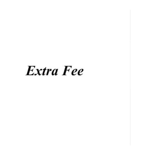 Extra fees