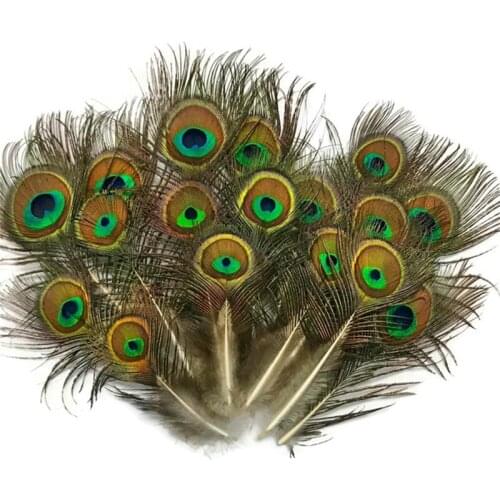 Wholesale Natural Rare Peacock Feathers Eye 5-10CM 2-4 " Feathers for Crafts Pheasant Feathers For Jewelry Making Plumes Plumas
