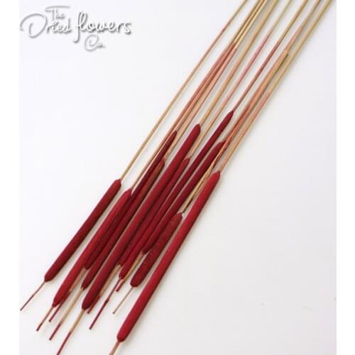 10pcs Dried Reed Spadix Pencil (Preserved) Purple Blue Green Red Dried Flower Natural Plant Wedding Decor Home Decor Dried Grass