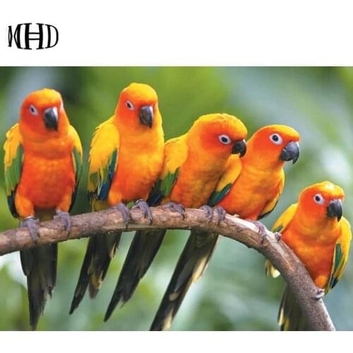 Parrot diy diamond painting over / square / circle 3D diamond embroidery crystal mosaic decoration craft painting