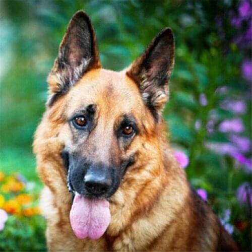 Animal German Shepherd DIY 11CT Embroidery Cross Stitch Kits Craft Needlework Set Printed Canvas Cotton Thread Home Sell