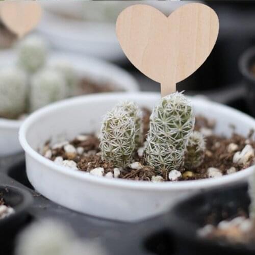 3/10Pcs Bamboo Slices Plant Markers Garden Bonsai Succulent Seedings Tags Sign Gardening Labels Stake DIY Garden Decoration Tool