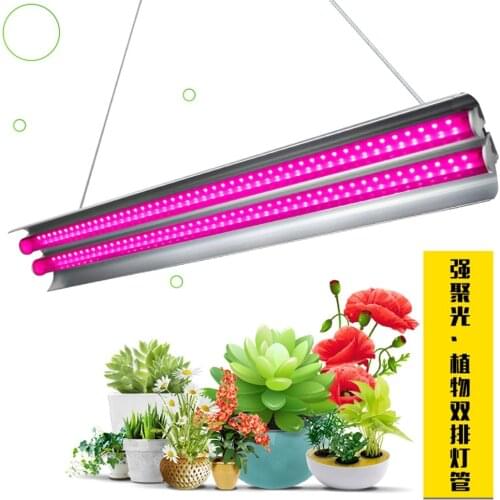 CF Grow Decorative Phones