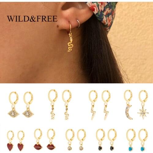 Wild&Free Women Charm Hoop Earrings Cartilage Earring Small Star Heart Lighting Snake Eye Gold Geometric Hoops Jewelry Gift