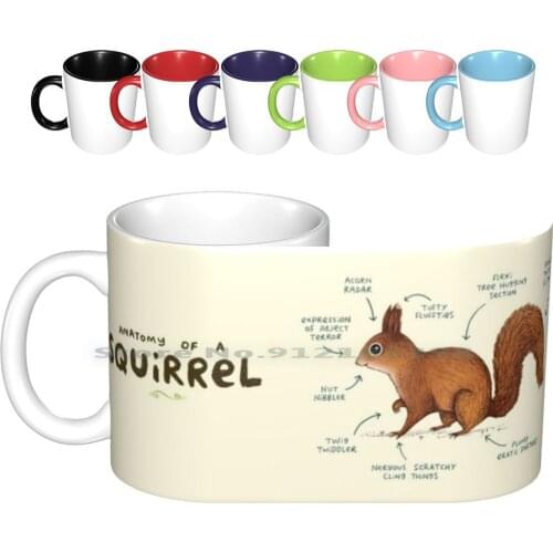 Anatomy Of A Squirrel Ceramic Mugs Coffee Cups Milk Tea Mug Anatomy Squirrel Red British Tail Squirrels Chipmunk Ferret English