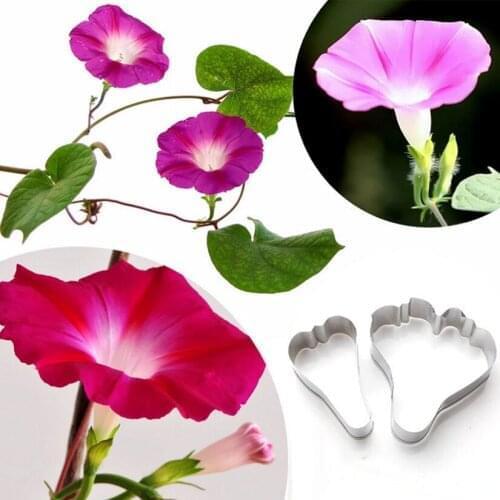 2 pcs/set Morning glory Petals Cutter Sets Stainless Steel Cookie Fondant Cake Decorating Tools