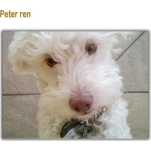 Diamond painting cross stitch DIY Diamond Embroidery White Dog Full coverage 5d square Diamond Mosaic Rhinestone Arts and Crafts