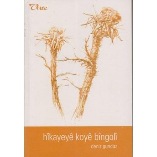 Hıkayeye Koye Bıngoli Sea Day Vate Publishing House (TURKISH)