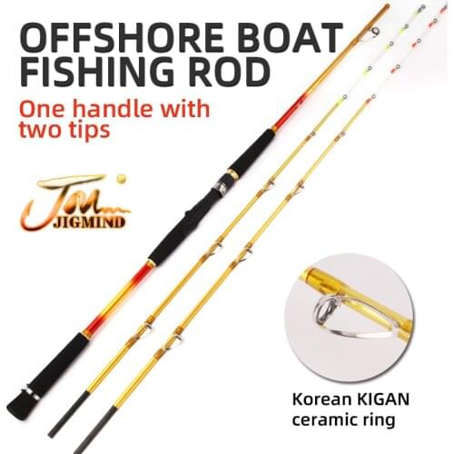 1.8m 150g~350g Or 200g~400g Soft And Hard Double Tips Made In China