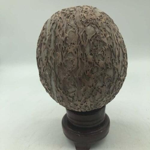 Natural bark stone dinosaur egg landscape stone mineral specimen personality home office decoration